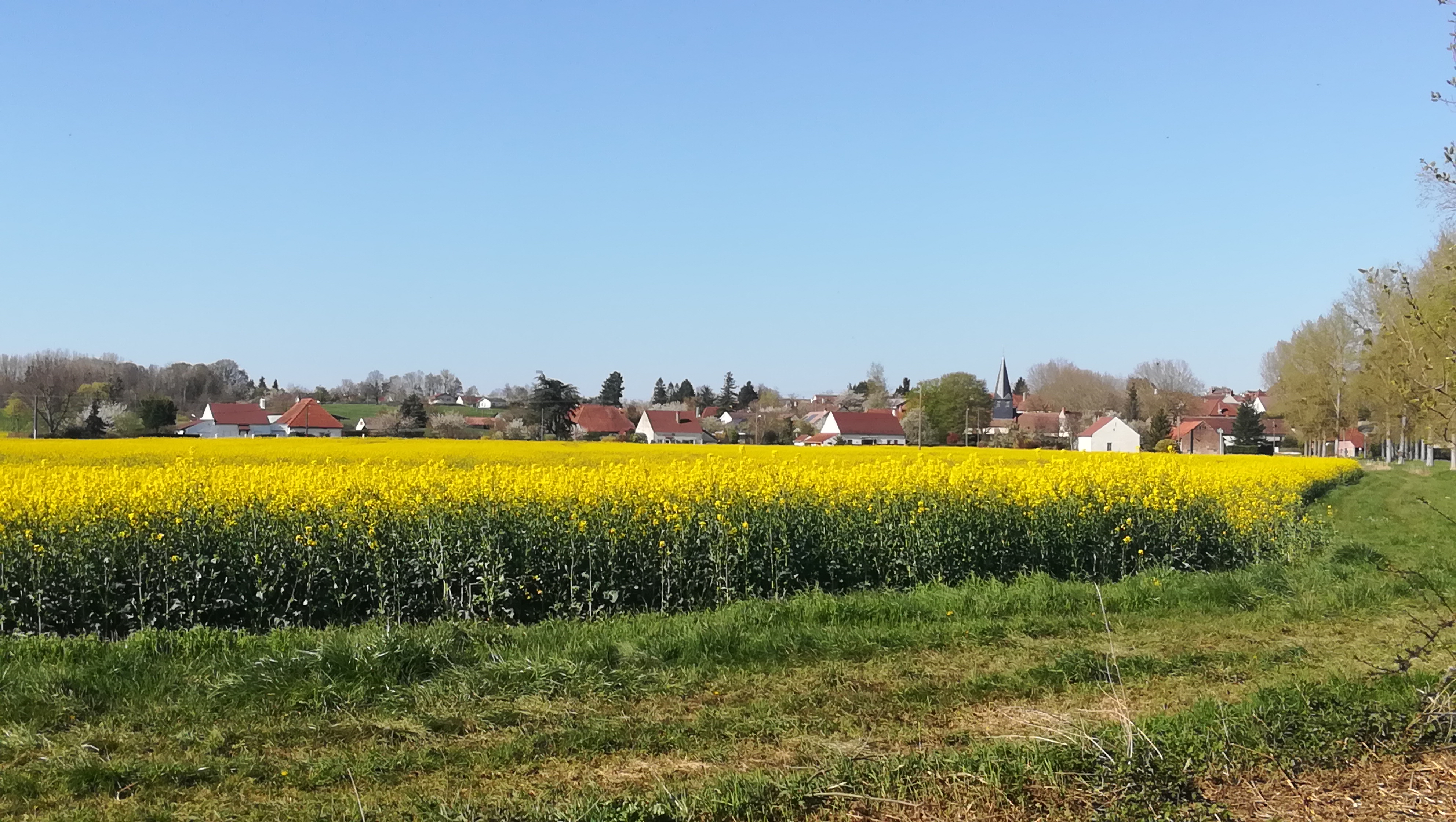 Banniere Commune de Bonnencontre